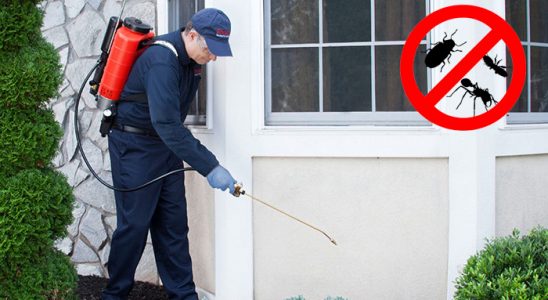 Üsküdar Dezenfeksiyon böcek ilaçlama ve haşere kontrolü — ilaclama-tr.com